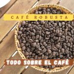 Café Robusta BANNER