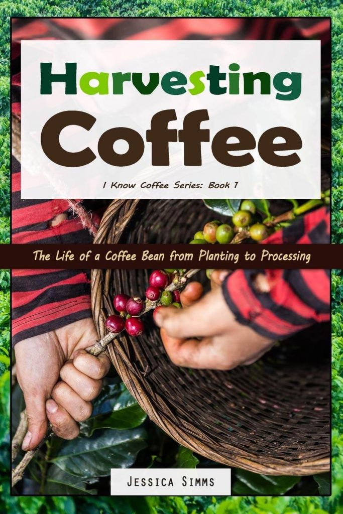 Jessica Simms - Harvesting Coffee