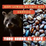 Kopi Luwak - El café más raro y exótico del mundo, también es el mejor café del mundo.