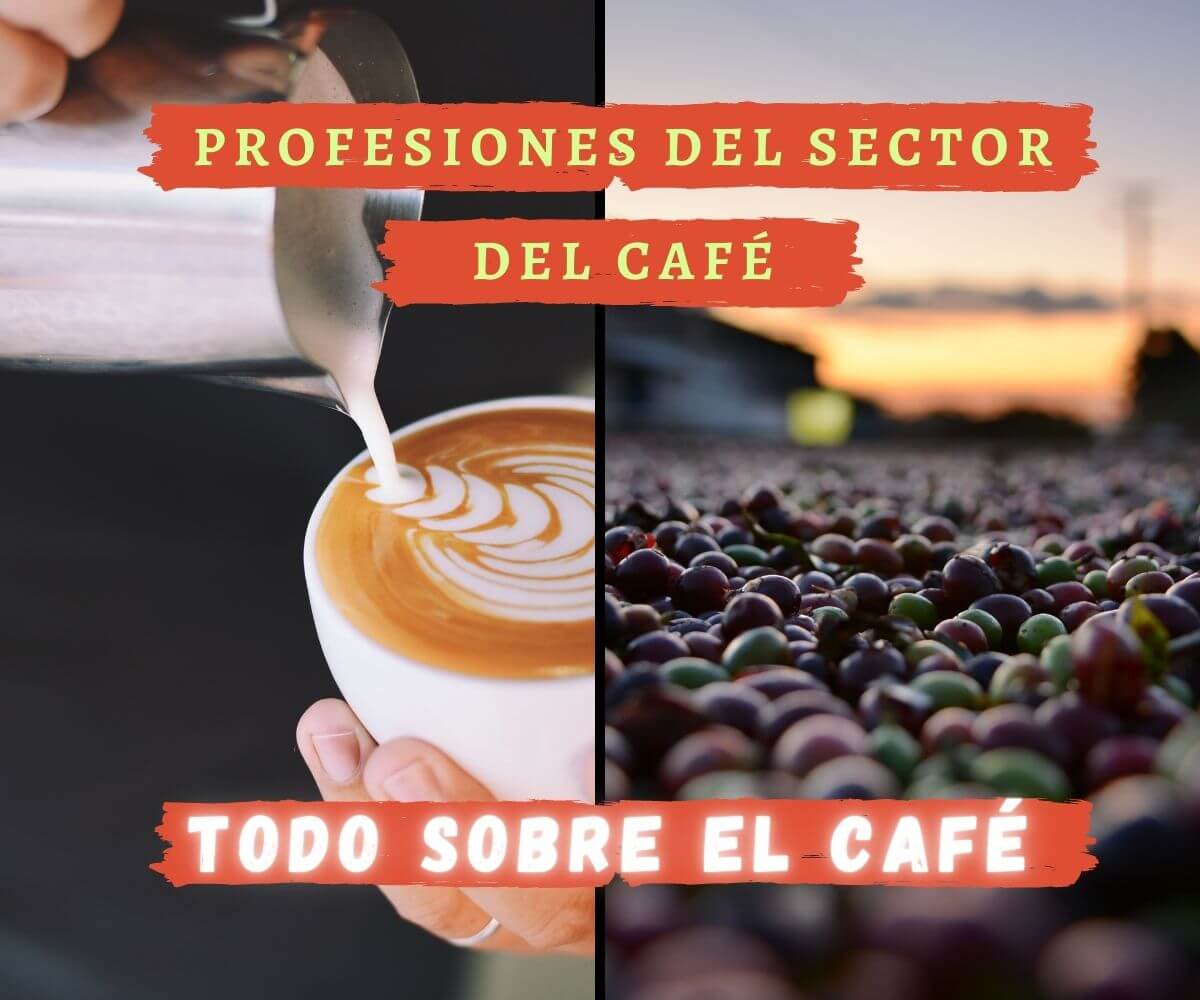oficios relacionados al sector del cafe