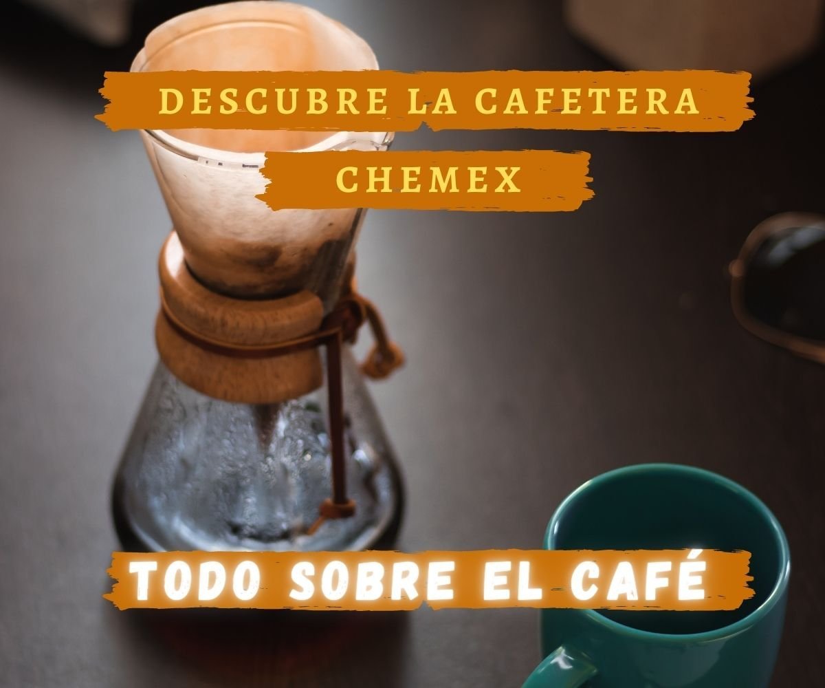Descubre las ventajas de la cafetera Chemex y cómo sacarle el máximo  provecho. - Blog