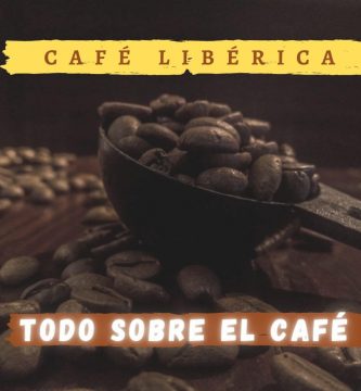 cafe liberica banner