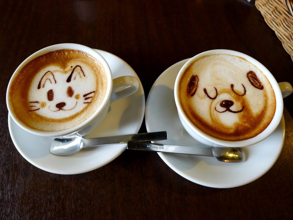 Latte art perro gato