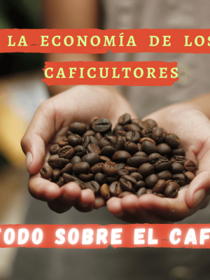 Banner - Independencia económica de los productores de café