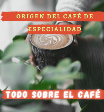 Banner - Origen del café de especialidad